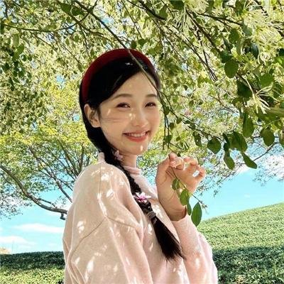大道似锦 在线观看